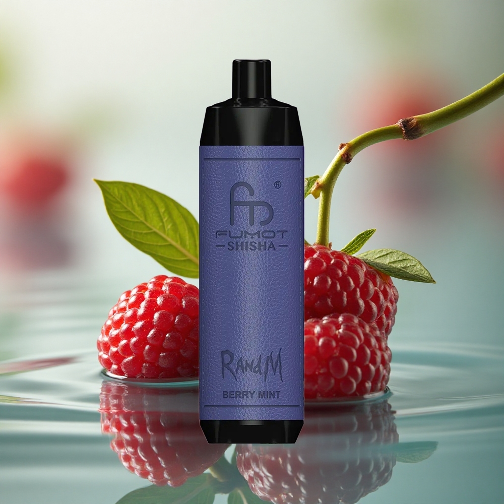 RandM Fumot Shisha 10000 Puffs Berry Mint LED Mesh 850mAh