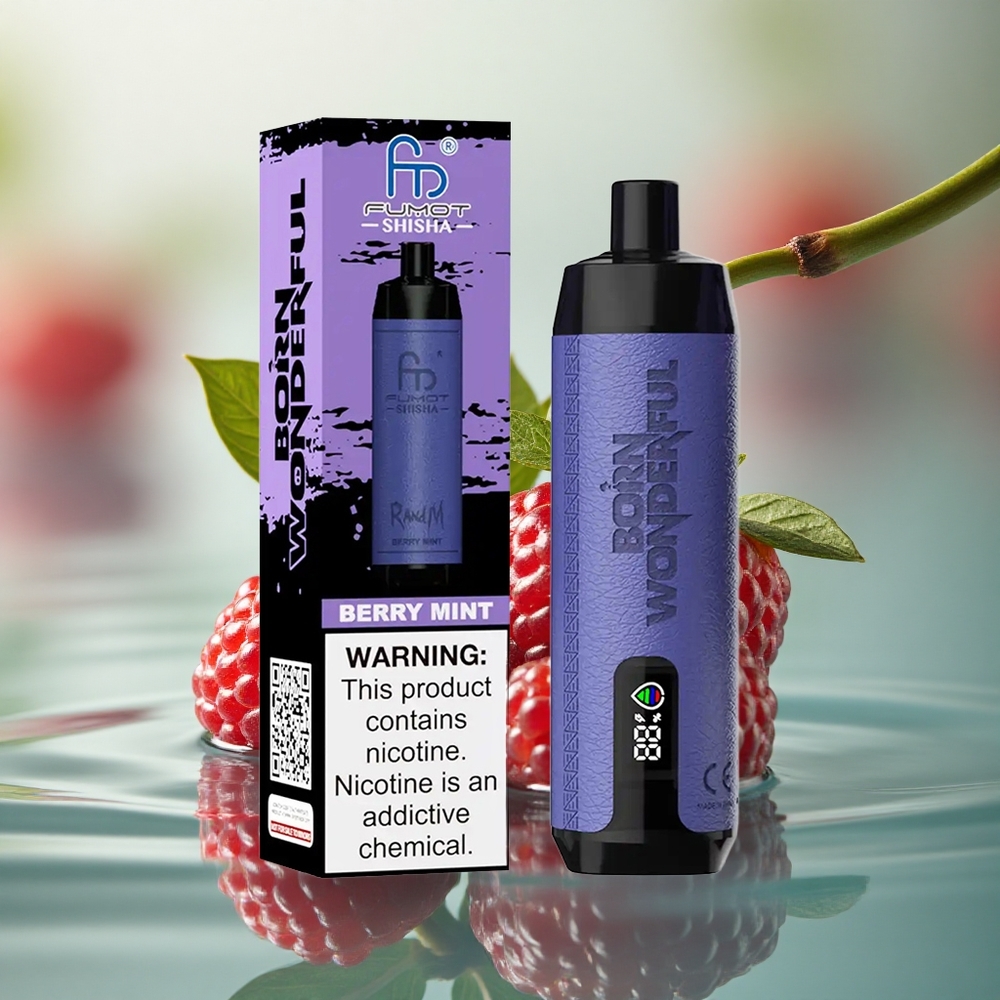 RandM Fumot Shisha 10000 Puffs Berry Mint LED Mesh 850mAh