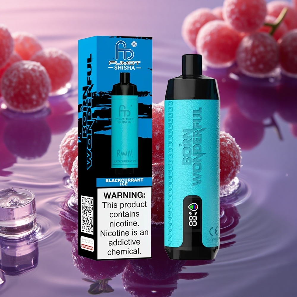 RandM Fumot Shisha 10000 Puffs Blackcurrant Ice 18mL 0.6ohm Type-C