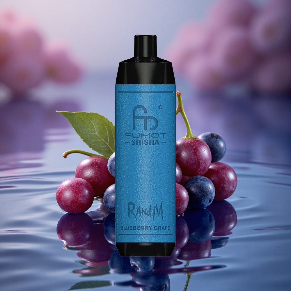 RandM Fumot Shisha 10000 Puffs Blueberry Grape LED 18ml Type-C