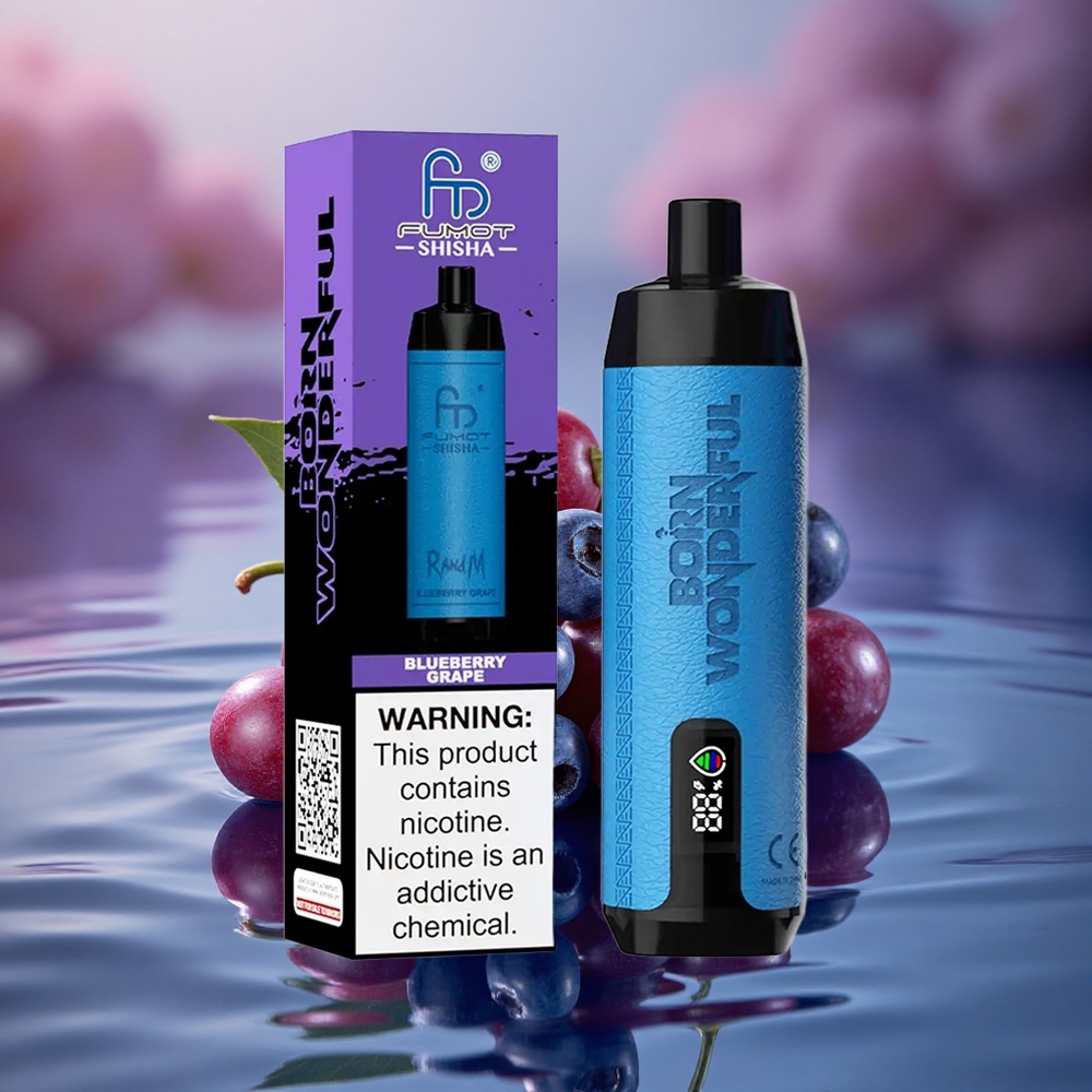 RandM Fumot Shisha 10000 Puffs Blueberry Grape LED 18ml Type-C