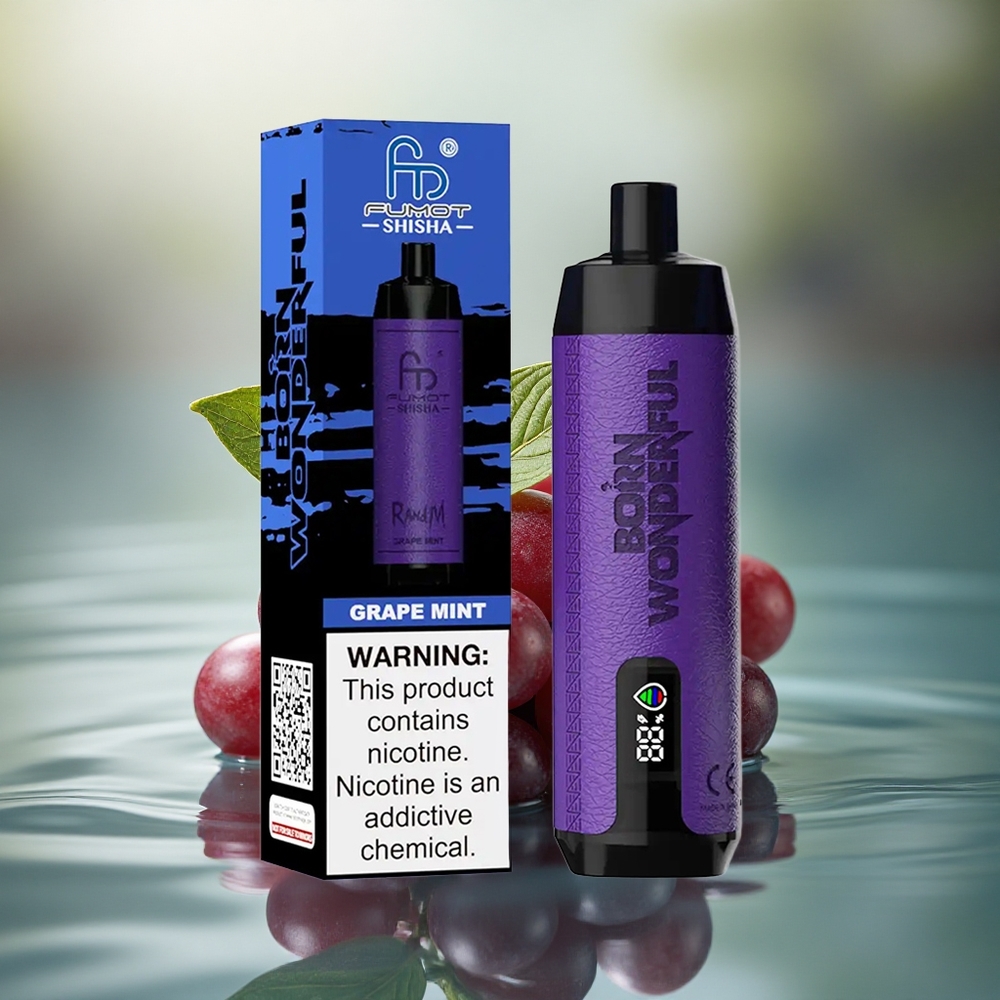 RandM Fumot Shisha 10000 Puffs Grape Mint Mesh Type-C 0.5%