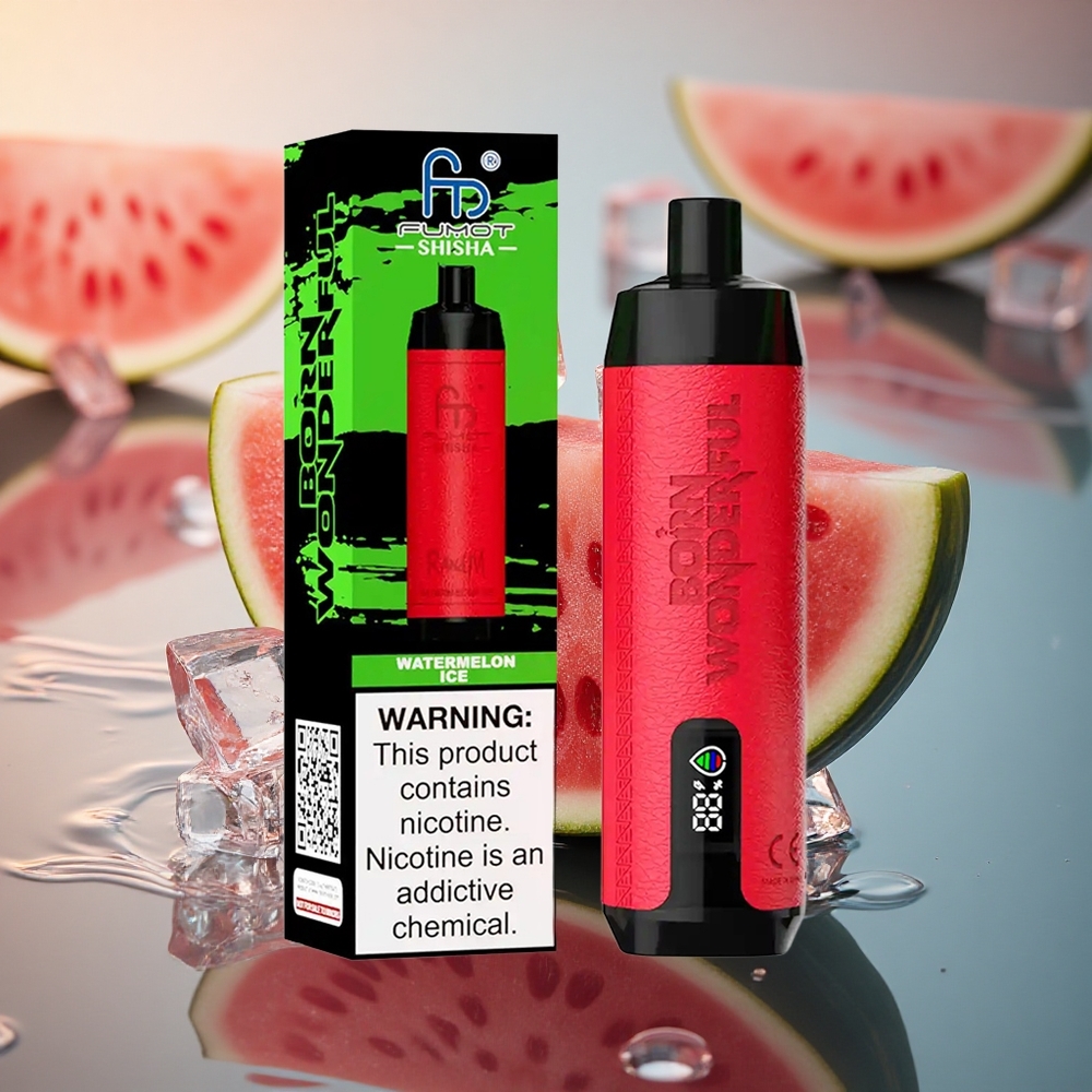 RandM Fumot Shisha 10000 Puffs Watermelon Ice Mesh Coil