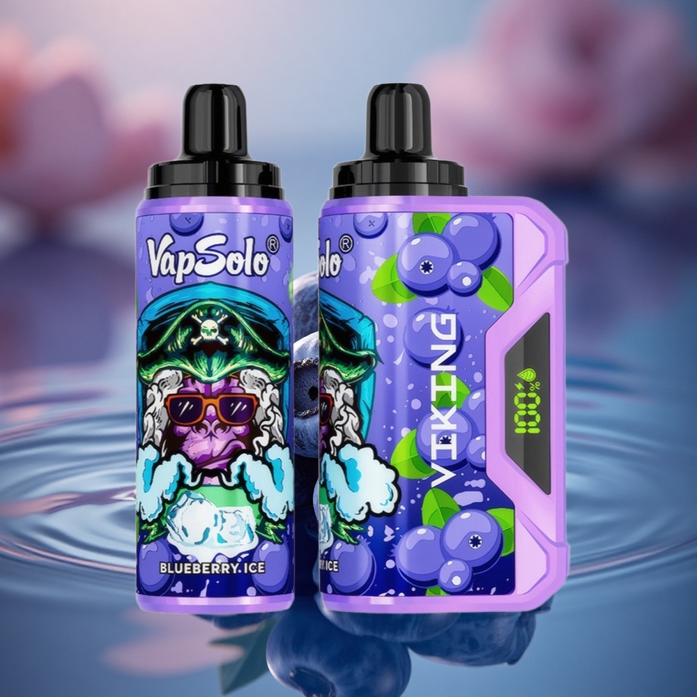 VapSolo VIKING 12000 Puffs Blueberry 22ml Type-C LED