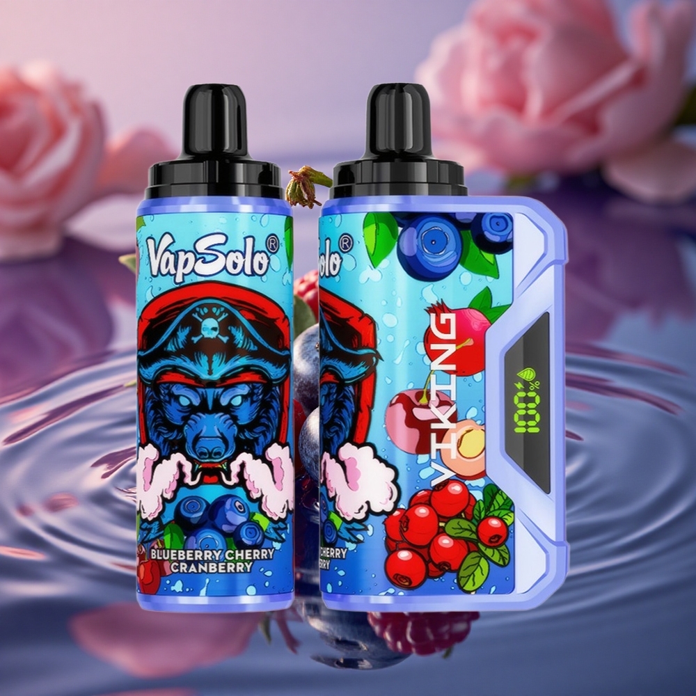 VapSolo VIKING 12000 Puffs Blueberry Cherry Cranberry Type-C 22ml