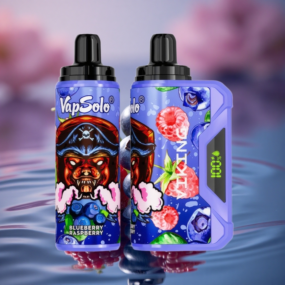 VapSolo VIKING 12000 Puffs Blueberry Raspberry Type-C 22ml
