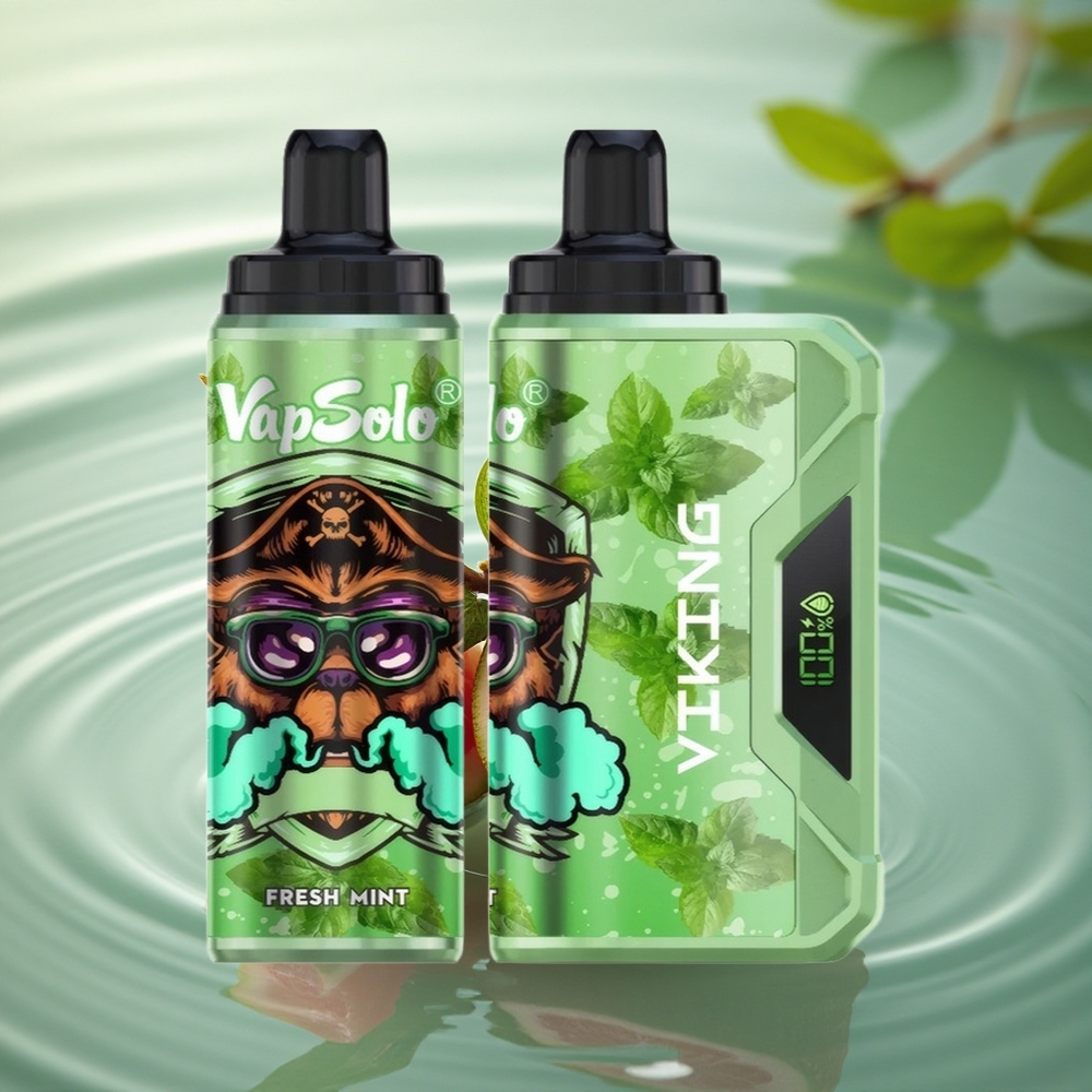 VapSolo VIKING 12000 Puffs Fresh Mint 22ml Type-C