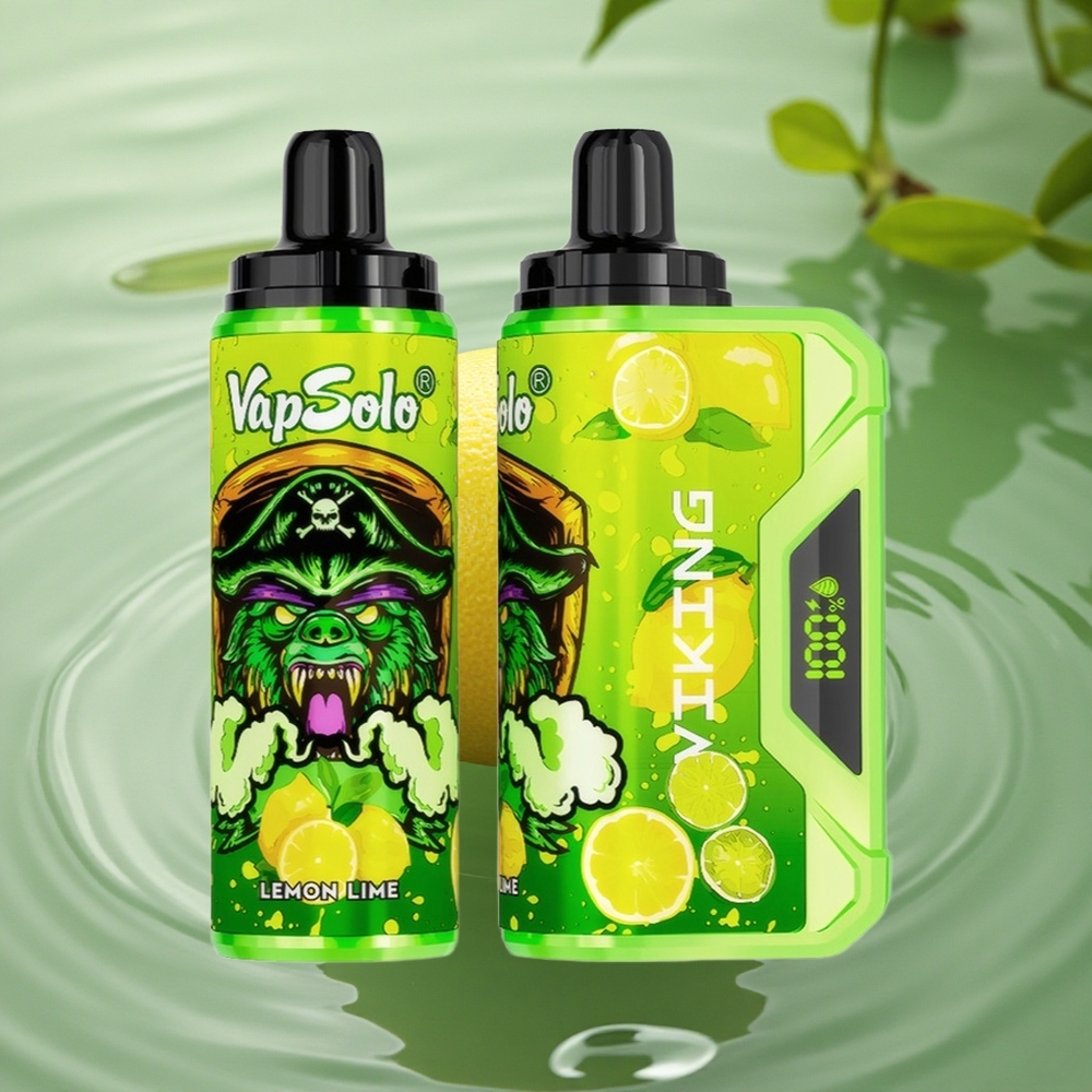 VapSolo VIKING 12000 Puffs Lemon Lime Type-C 22ml LED