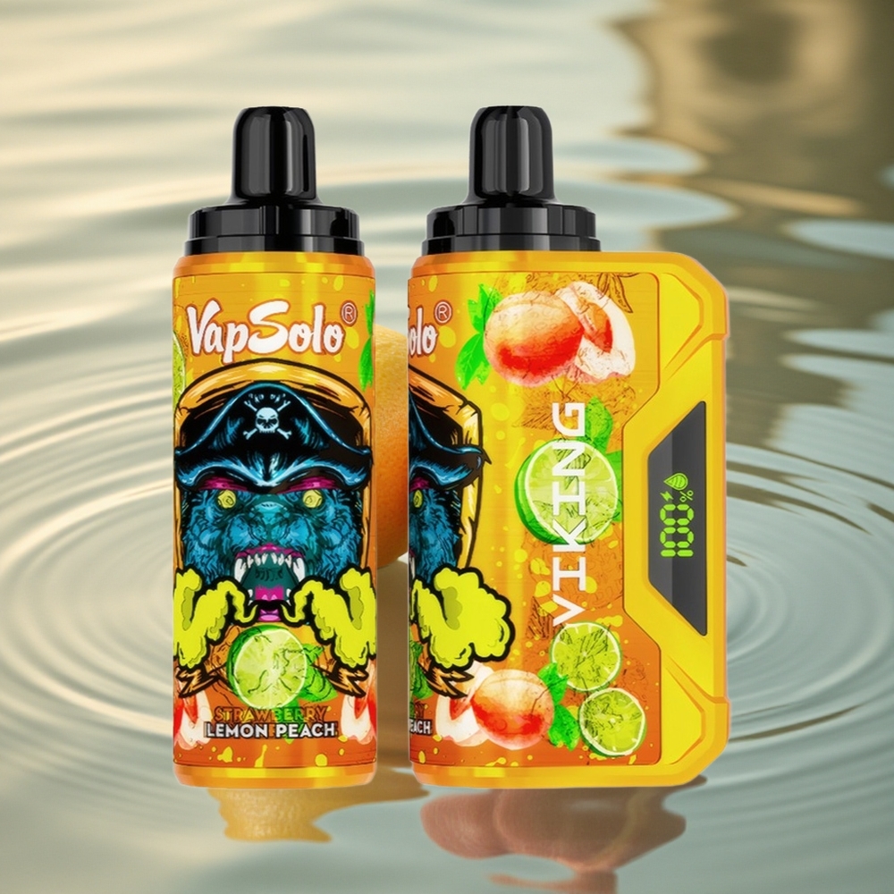 VapSolo VIKING 12000 Puffs Lemon Peach Type-C 22ml