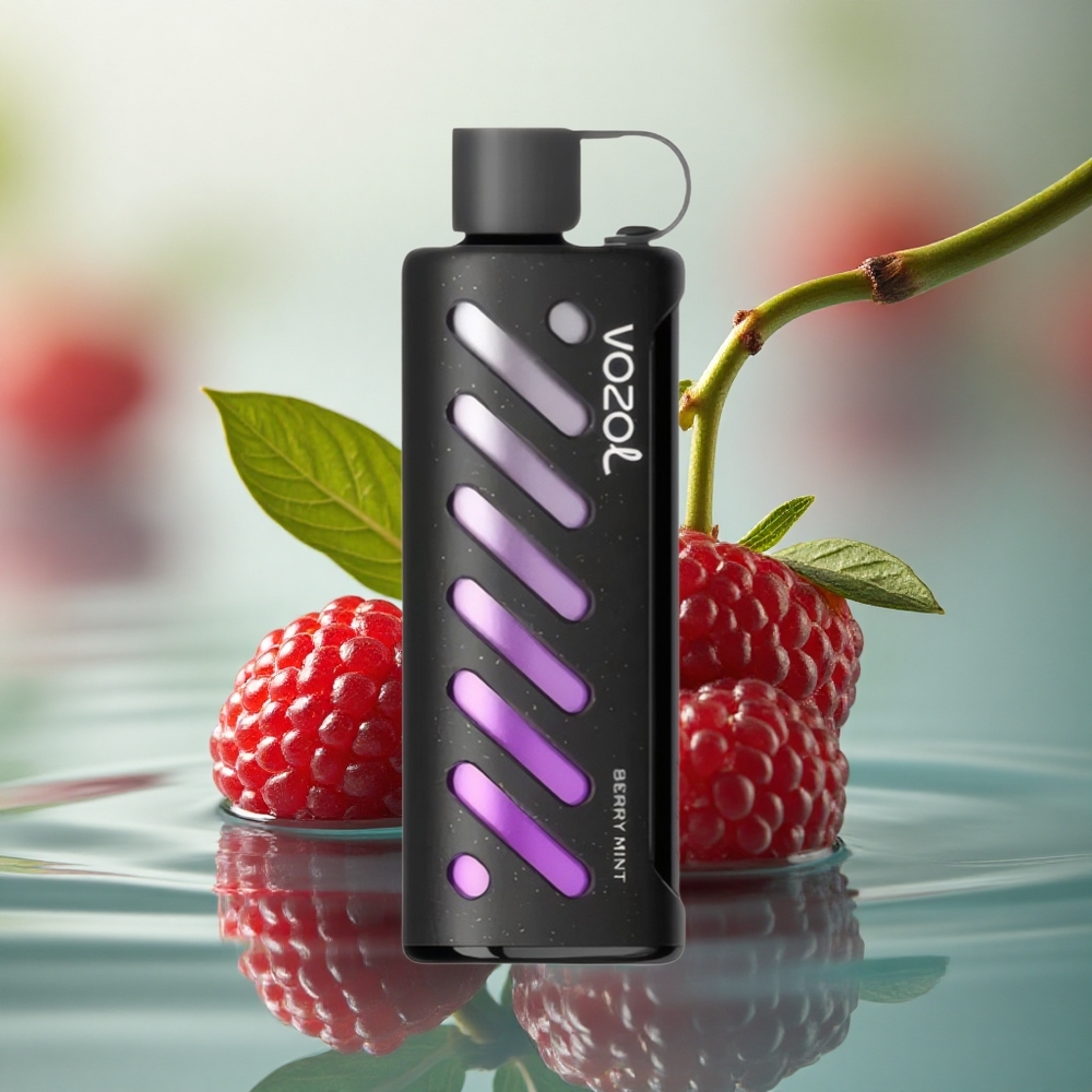 VOZOL Gear Shisha 25000 Puffs Berry Mint Dual Mesh 5mg