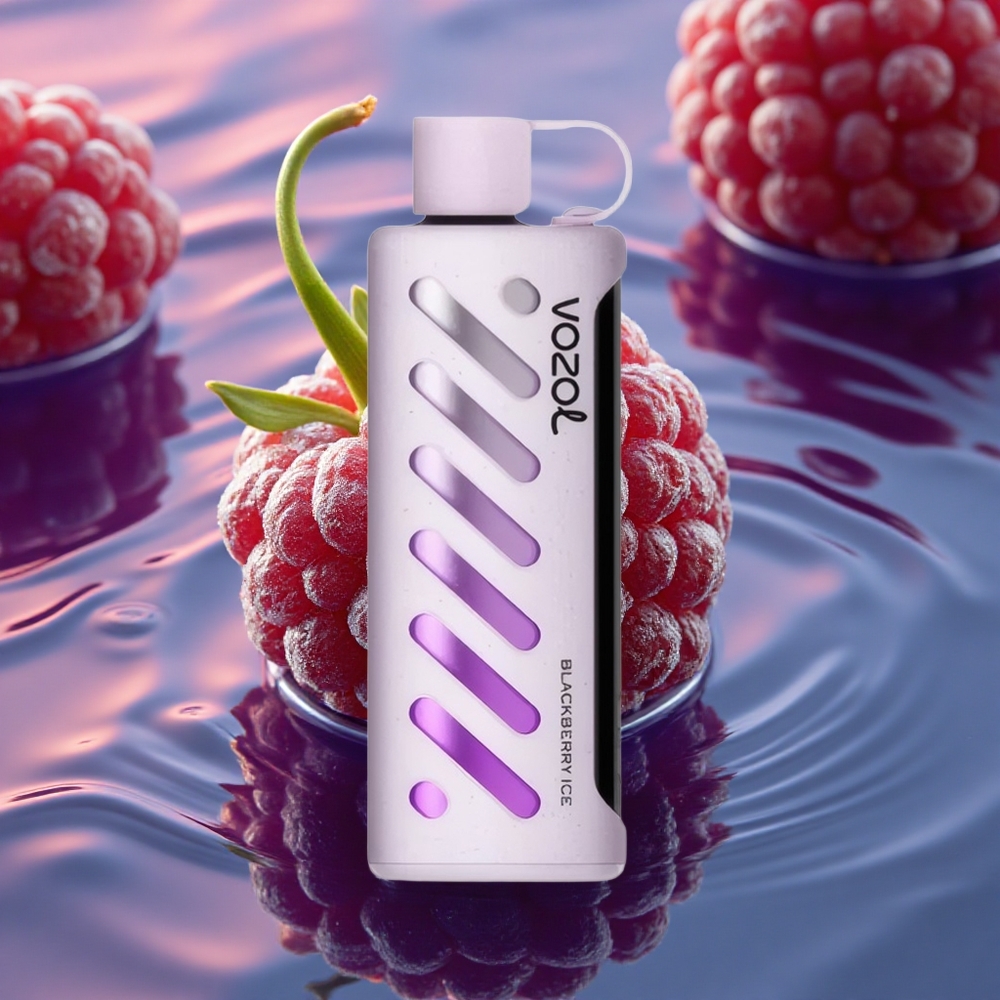 VOZOL Gear Shisha 25000 Puffs Blackberry Ice Dual Mesh 5mg