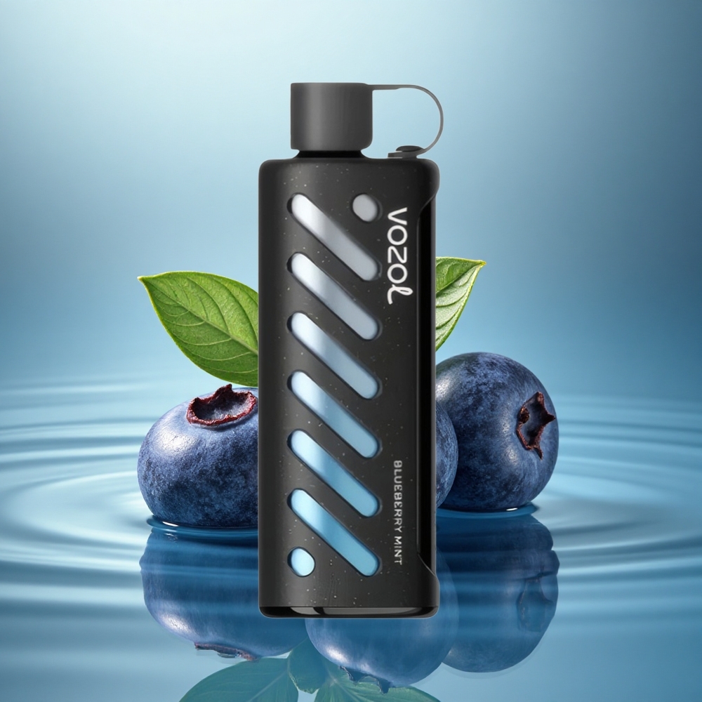 VOZOL Gear Shisha 25000 Puffs Blueberry Mint Dual Mesh