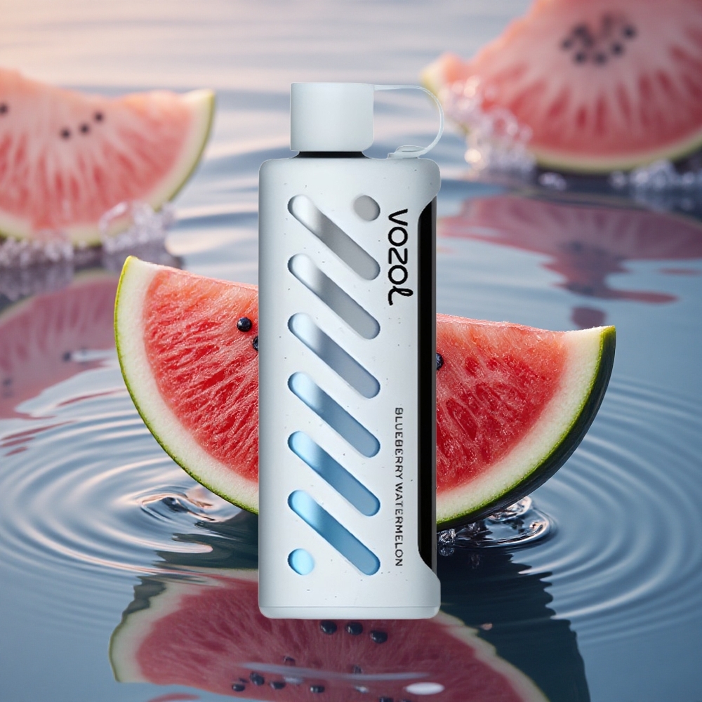 VOZOL Gear Shisha 25000 Puffs Blueberry Watermelon Dual Mesh 1000mAh 5mg