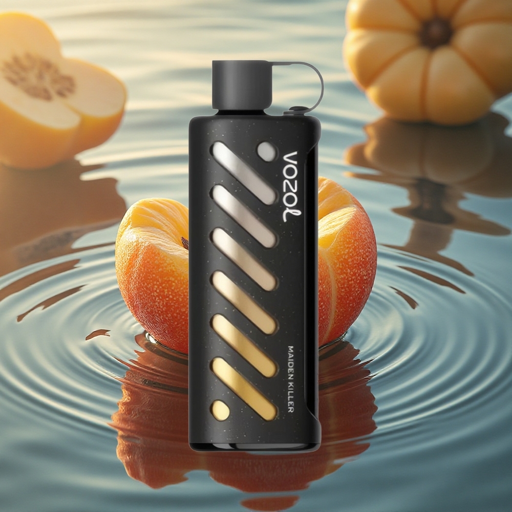 VOZOL Gear Shisha 25000 Puffs SilkTech DualMesh 1000mAh