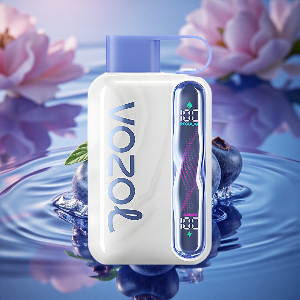 VOZOL STAR 40000 Puffs Blueberry Ice 1000mAh Type-C