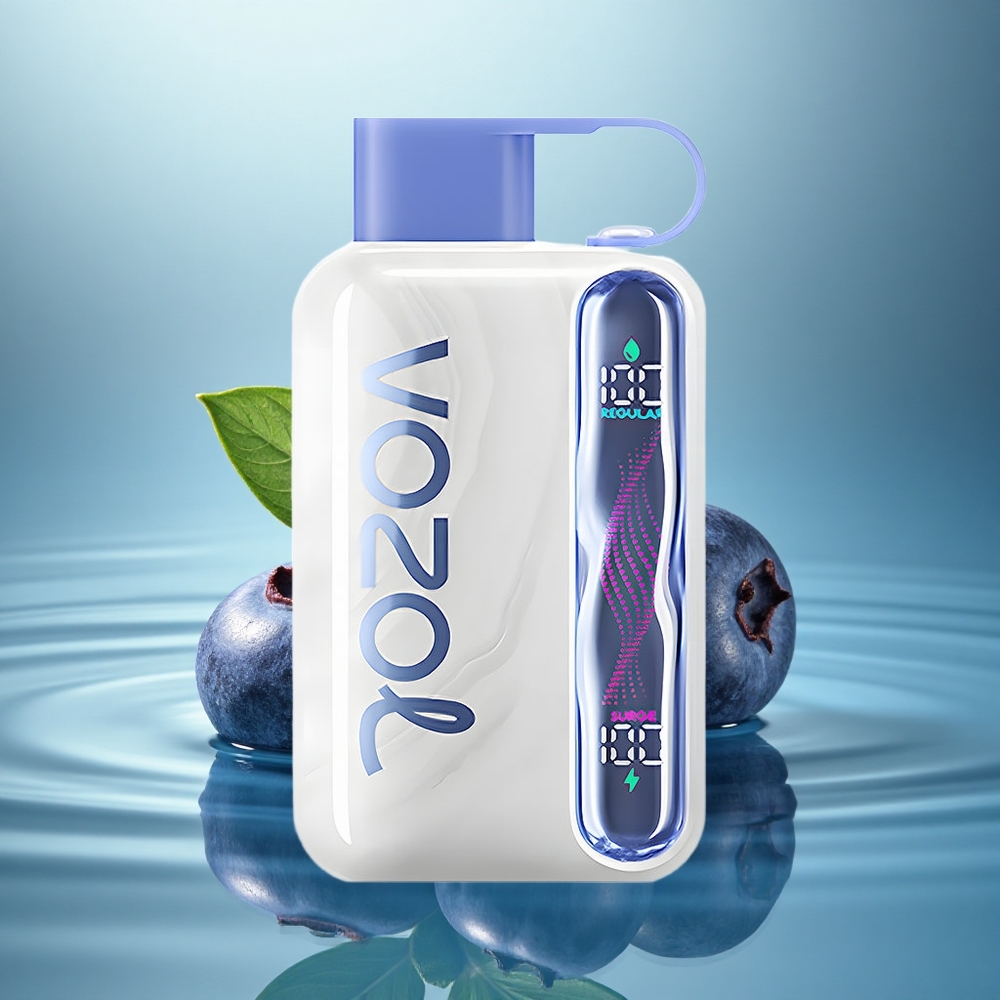 VOZOL STAR 40000 Puffs Blueberry Mint 1000mAh Type-C