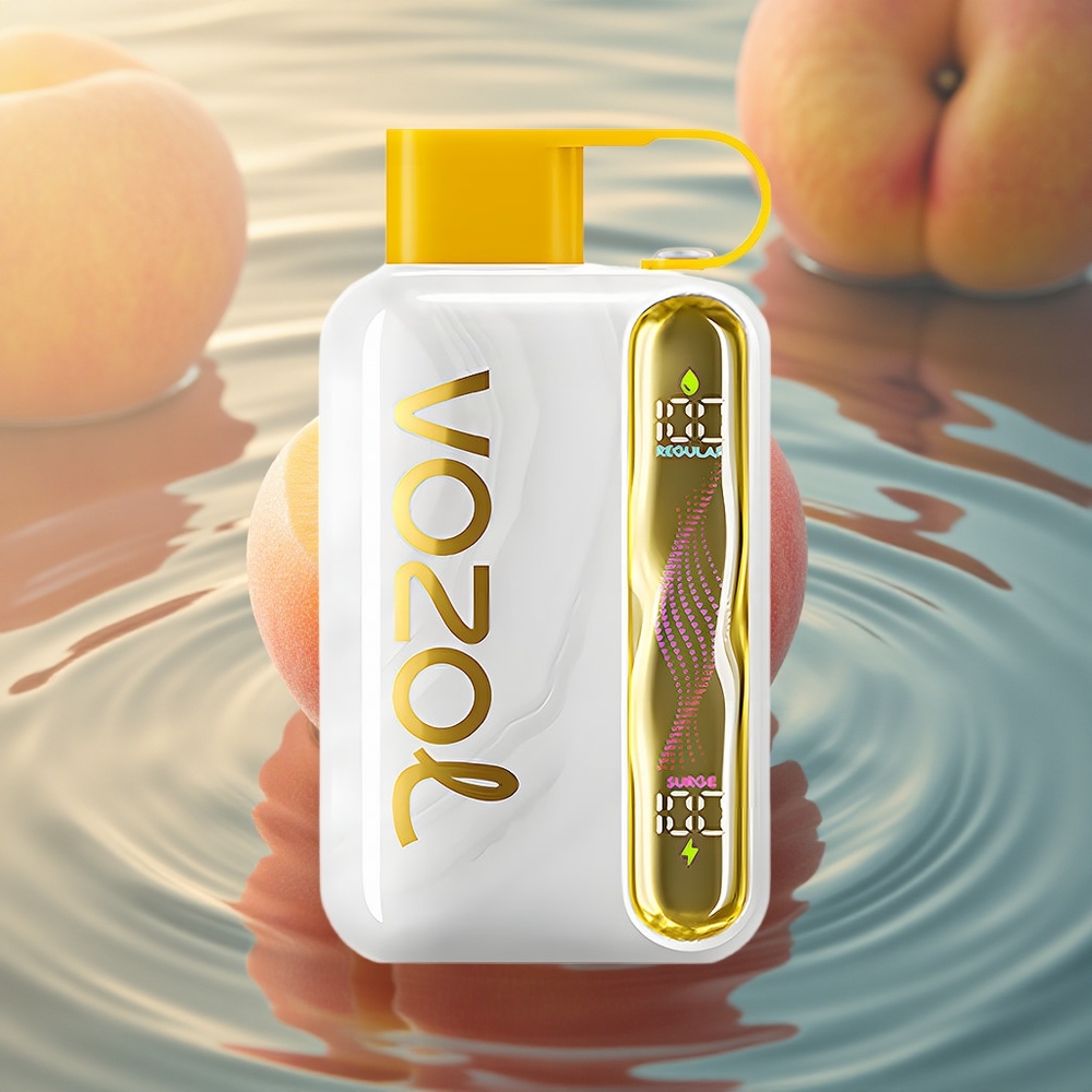 VOZOL STAR 40000 Puffs Mango Peach 1000mAh Type-C