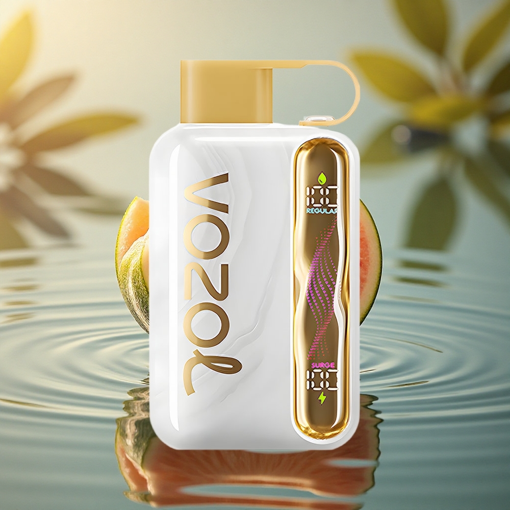 VOZOL STAR 40000 Puffs Melon Gum 1000mAh Type-C 20/50mg