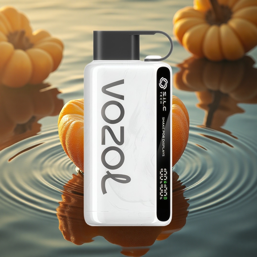 VOZOL STAR 9000/12000 Puffs Star Recycled Charge Disposable Vape