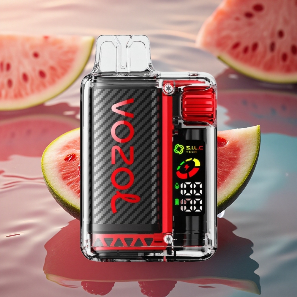 VOZOL Vista 20000 Puffs Raspberry Watermelon OLED Dual Mesh